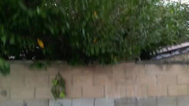 Günbatımından sonra High Angle Luton City 'de. 6 Ekim 2023 'te Drone' un Kamerası ile yakalanmış.