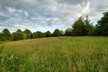 İngiltere 'nin en güzel İngiliz kır manzarası Sharpenhoe Alkışçılar Vadisi Luton, İngiltere' de. Görüntü 24 Haziran 2023 'te çekildi.