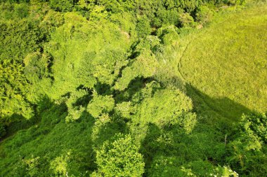 İngiltere 'nin Luton şehrinin yakınındaki İngiliz Sharpenhoe Tarım Çiftlikleri Kırsal Manzarası İngiltere Büyük Britanya. Görüntü İHA 'nın Kamerasıyla 26 Haziran 2023' te çekildi.