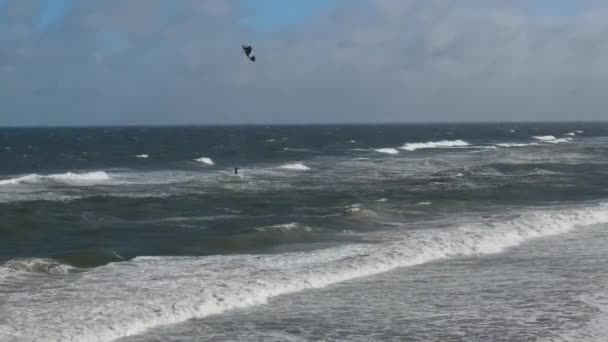 英国诺森伯兰海滩和海洋上空风筝冲浪的高角度镜头 影片是2021年1月24日用无人机拍摄的 — 图库视频影像