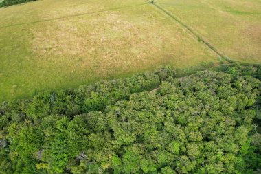 İngiltere 'nin Luton City yakınlarındaki Sharpenhoe Alkışlayıcıları' ndaki İngiliz Kırsal Bölgesi 'nin en güzel Yüksek Açılı Manzarası. Fotoğraf 26 Haziran 2023 'te çekilmiştir.