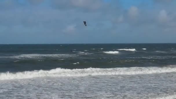Widok Lotu Ptaka Paralotniarstwo Northumberland Beach England Wielka Brytania Stycznia — Wideo stockowe