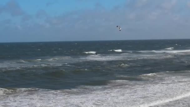 Vista Aérea Homem Parapente Northumberland Beach Inglaterra Grã Bretanha Janeiro — Vídeo de Stock