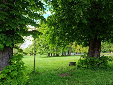 Luton City, İngiltere 'deki Wardown Halk Parkı' nın düşük açılı görüntüsü. Resim 7 Mayıs 2023 'te çekilmiştir.