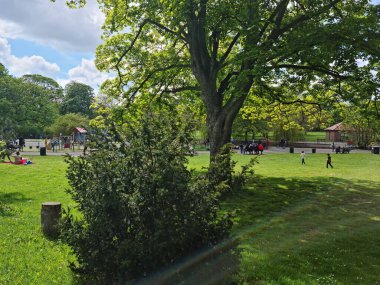 Luton City, İngiltere 'deki Wardown Halk Parkı' nın düşük açılı görüntüsü. Resim 7 Mayıs 2023 'te çekilmiştir.