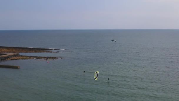 High Angle Footage Des Kitesurfens Über Strand Und Ozean Von — Stockvideo