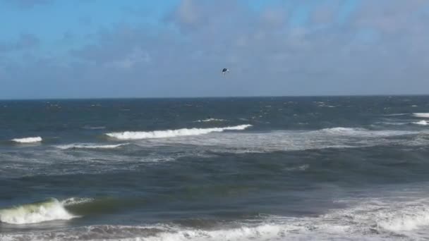 High Angle Beelden Van Kitesurfen Boven Beach Ocean Northumberland England — Stockvideo