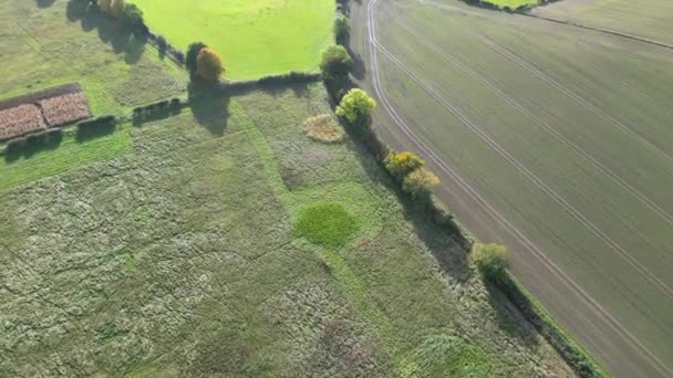 Вид Воздуха Большинство Ландшафтов Графства Бедфордшир Великобритания Съемка Сделана Камерой — стоковое видео