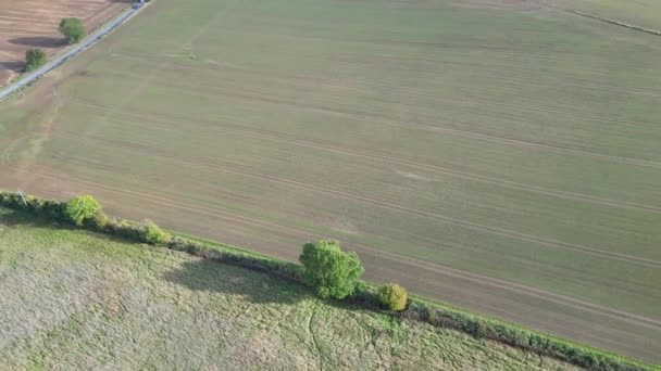 Aerial View Most Beautiful Countryside Landscape Bedfordshire England United Kingdom — Stock Video