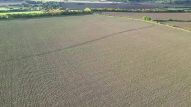 İngiltere, Bedfordshire 'ın en güzel kırsal manzarasının havadan görüntüsü. Görüntü İHA 'nın Kamerasıyla 30 Ekim 2023' te Güzel Kısmen Bulutlu Gün 'de çekildi..