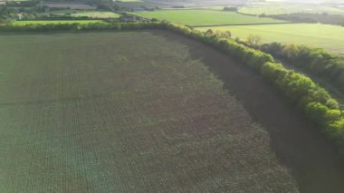 İngiltere, Bedfordshire 'ın en güzel kırsal manzarasının havadan görüntüsü. Görüntü İHA 'nın Kamerasıyla 30 Ekim 2023' te Güzel Kısmen Bulutlu Gün 'de çekildi..