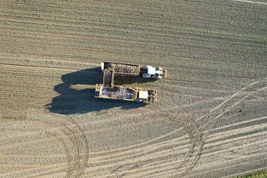 İngiltere 'nin Letchworth Garden City kırsal kesiminin yüksek açılı görüntüleri. Görüntü İHA 'nın Kamerasıyla 11 Kasım 2023' te çekildi.