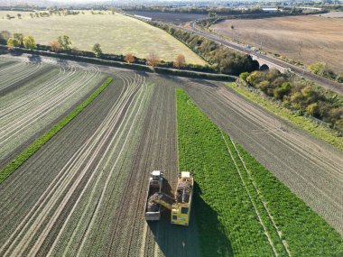 İngiltere 'nin Letchworth Garden City kırsal kesiminin yüksek açılı görüntüleri. Görüntü İHA 'nın Kamerasıyla 11 Kasım 2023' te çekildi.