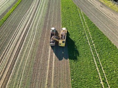 İngiltere 'nin Letchworth Garden City kırsal kesiminin yüksek açılı görüntüleri. Görüntü İHA 'nın Kamerasıyla 11 Kasım 2023' te çekildi.