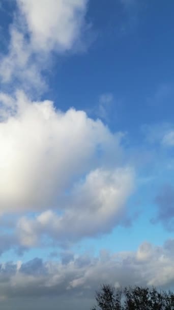Υψηλής Γωνίας Κατακόρυφα Πλάνα Του Μοναδικού Ουρανού Και Σύννεφα Πάνω — Αρχείο Βίντεο