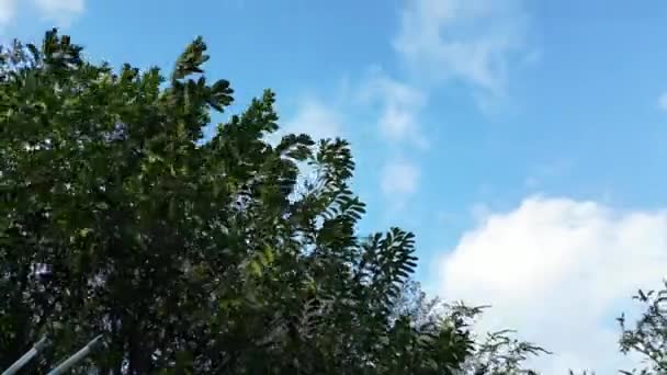 Frumos High Angle Time Lapse Camera Drone Lui Blue Sky — Videoclip de stoc