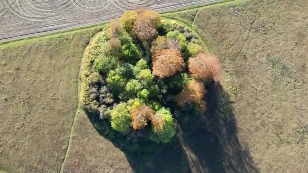 Υψηλής Γωνίας Πλάνα Του Τοπίου Countryside Agricultural Farm Του Letchworth — Αρχείο Βίντεο