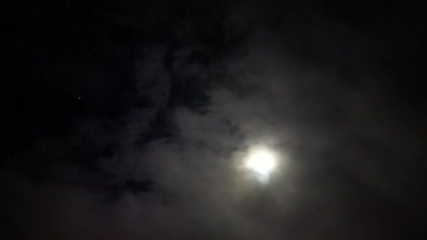 Luna Plină Spatele Ploii Negre Mișcare Rapidă Nori Timp Noapte — Videoclip de stoc
