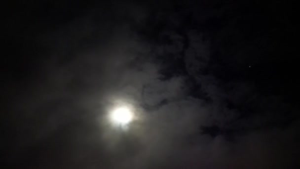 Luna Plină Spatele Ploii Negre Mișcare Rapidă Nori Timp Noapte — Videoclip de stoc