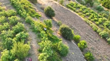 Kürdistan Irak 'taki Dağların ve Tepelerin Hava Görüntüsü. Drone 'un Orta Yükseklikten Görüntüsü 3 Ağustos 2023' te Yakalandı. 