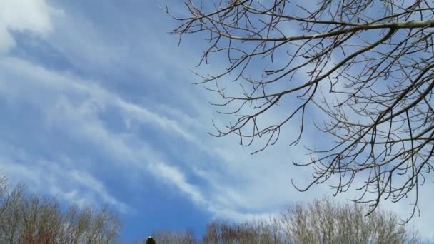Nádherné Nebe Mraky Nad Hatfield City England — Stock video