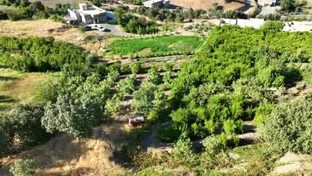 Vista Aérea Tierra Agrícola Con Árboles Las Colinas Del Kurdistán — Vídeo de stock