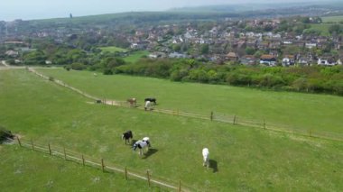 İngiltere 'nin Brighton City yakınlarındaki Rottingdean kasabasında İngiliz At Çiftliklerinin Hava Görüntüleri. 10 Mayıs 2024