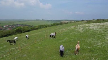İngiltere 'nin Brighton City yakınlarındaki Rottingdean kasabasında İngiliz At Çiftliklerinin Hava Görüntüleri. 10 Mayıs 2024