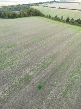 Streatley Village 'daki İngiliz Tarım Çiftlikleri ve İngiltere' nin Bedfordshire 'daki Kırsal Açı Manzarası. Görüntüler İHA 'nın Kamerasıyla 7 Ekim 2024' te çekildi.