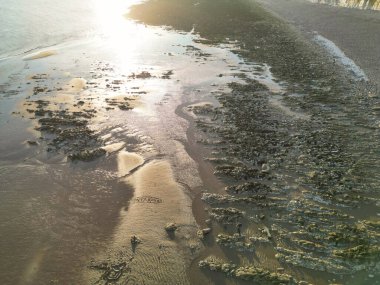Birleşik Krallık 'ın Beachy Head Burun Bölgesi' ndeki İngiliz Turist Çekimi 'nin Yüksek Açı Manzarası ve Doğu Sussex, İngiltere' deki Okyanus. Drone 'un Kamera Görüntüsü 10 Mayıs 2024' te çekildi.