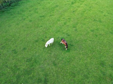 İngiltere 'nin Nottingham kırsalındaki At Çiftliğinin Yüksek Açı Görüntüsü. Görüntü İHA 'nın Kamerasıyla 25 Ekim 2023' te Orange Sunset 'te çekildi.
