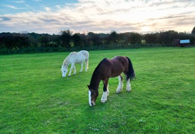 İngiltere 'nin Nottingham kırsalındaki At Çiftliğinin Yüksek Açı Görüntüsü. Görüntü İHA 'nın Kamerasıyla 25 Ekim 2023' te Orange Sunset 'te çekildi.