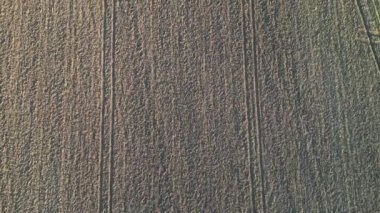 İngiltere, Bedfordshire yakınlarındaki Hexton Village 'ın yüksek açılı görüntüsü. Hava Görüntüleri 29 Kasım 2024 'te, gün batımından hemen önce Drone' un Kamerasıyla çekildi.