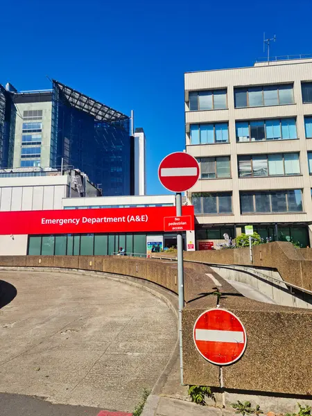 Westminster Tower Köprüsü ve Londra Gözü yakınlarındaki Tarihi Binalar, İngiltere 'nin başkenti Londra' nın Central London 'da Big Ben Nehrinin yanında Thames. 10 Mayıs 2025