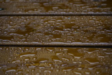 Sessizliğin kucağında, kırsal bank, doğanın gözyaşlarıyla süslenmiş, anlatılmamış hikayelerin rutubetli fısıltılarıyla bizi çağırıyor. Fısıldayan Su