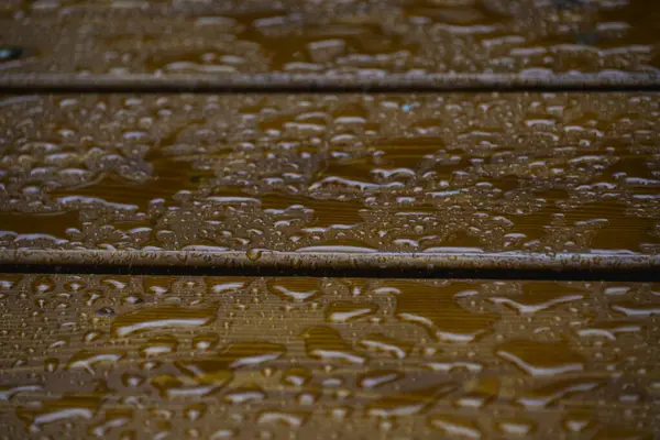 Sessizliğin kucağında, kırsal bank, doğanın gözyaşlarıyla süslenmiş, anlatılmamış hikayelerin rutubetli fısıltılarıyla bizi çağırıyor. Fısıldayan Su