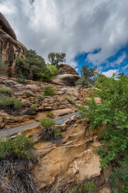 Kayalık bir yamacın toprak tonları yeşillikle kaplıydı ve yumuşak bulutlu dramatik bir gökyüzü tarafından çerçevelenmişti.
