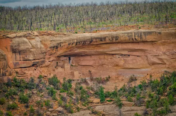 stock image A breathtaking panoramic shot capturing the faded beauty of ancient cliff dwellings against the stark background of a barren landscape and regrowth after a wildfire