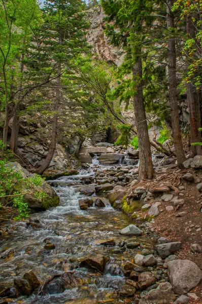 Canlı bir dere, kayalar ve çeşitli ağaç türleriyle çevrili bir orman kanyonu boyunca kıvrılır.