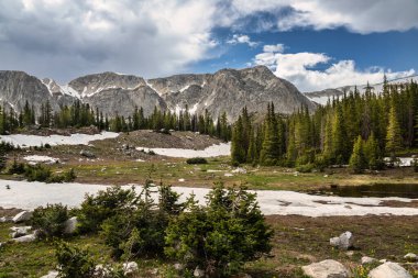 Alp çamları güneydoğu Wyoming 'in Snowy Range Scenic Byway bölgesinde yükselen granit tepelere ulaşırken bahar sonlarında kar zeminde devam ediyor. Sahne, mevsimsel geçiş döneminde yüksek dağlık yabanın ham güzelliğini yakalar.