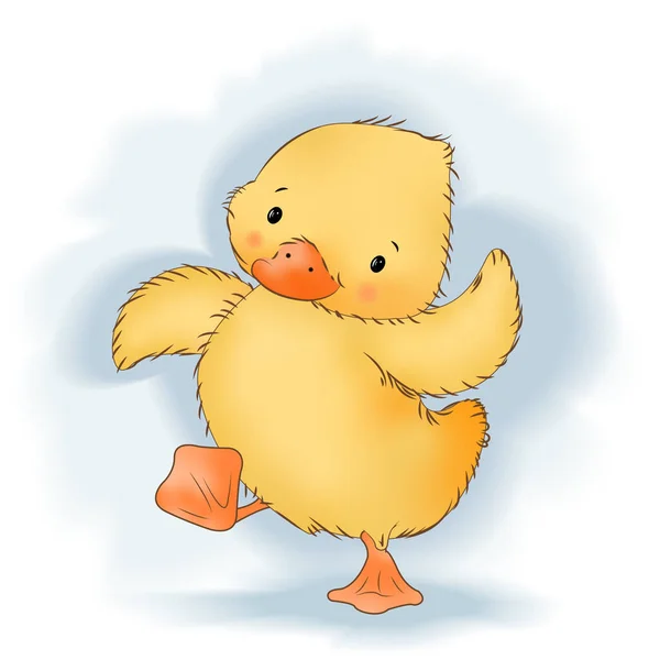 Şirin, komik, küçük ördek yavrusu su birikintilerinde yürüyor.