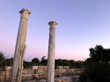 Kıbrıs Paphos 'taki sütunlar. Kolonnatif sokak kalıntıları antik şehir.