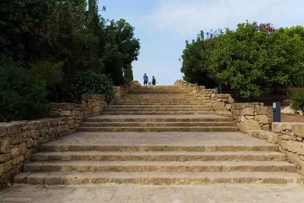 Kıbrıs 'ta yeşil zeytin ağaçlarıyla çevrili geniş merdivenler yukarı çıkıyor