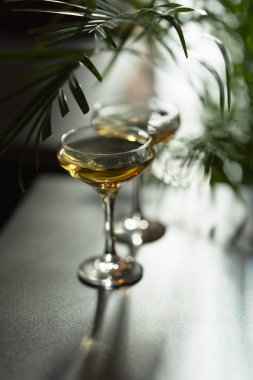 Siyah masada beyaz şarap ve yeşil yapraklı iki bardak