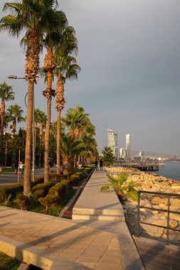 Kıbrıs Rum Kesimi 'nin Limasol kentinde palmiyeler ve güneşli havayla deniz kenarında gezinti