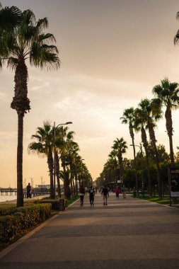 Kıbrıs Rum Kesimi 'nin Limasol kentinde palmiyeler ve güneşli havayla deniz kenarında gezinti