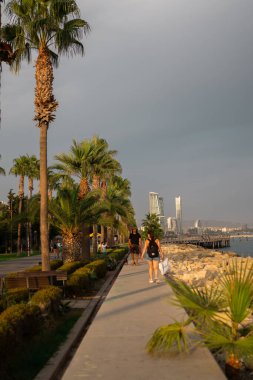 Kıbrıs Rum Kesimi 'nin Limasol kentinde palmiyeler ve güneşli havayla deniz kenarında gezinti