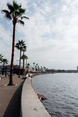 Kıbrıs Rum Kesimi 'nin Limasol kentinde palmiyeler ve güneşli havayla deniz kenarında gezinti