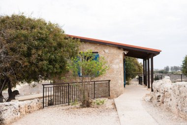 Turuncu kiremit çatılı ev manzarası, mavi dış pencere panjuru zeytin ağaçlarıyla çevrili.