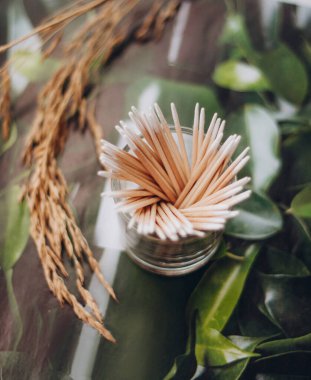 Bambu pamuk bezlerden ve pamuk pedleri, ekolojik yaşam tarzı kavramı görüntü